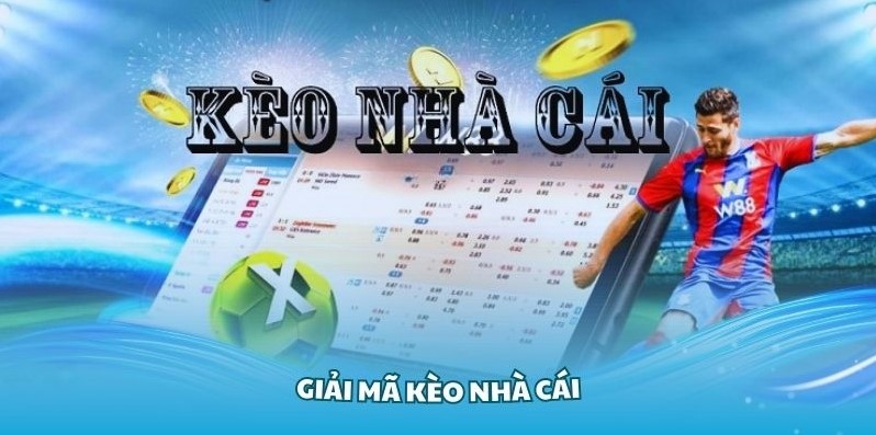 Bí kíp bắt kèo nhà cái chuẩn xác hội viên cần nắm