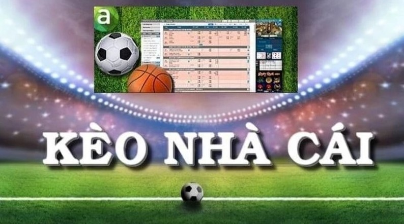 Cách đọc kèo nhà cái chuẩn chính xác từ kubet